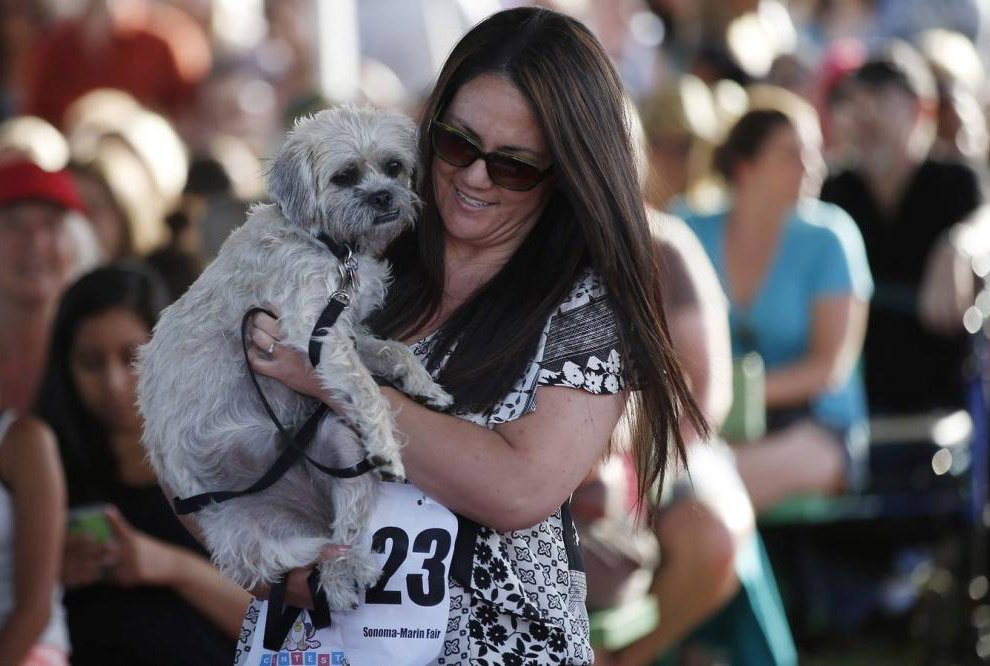 Необычное: самая уродливая собака 2014