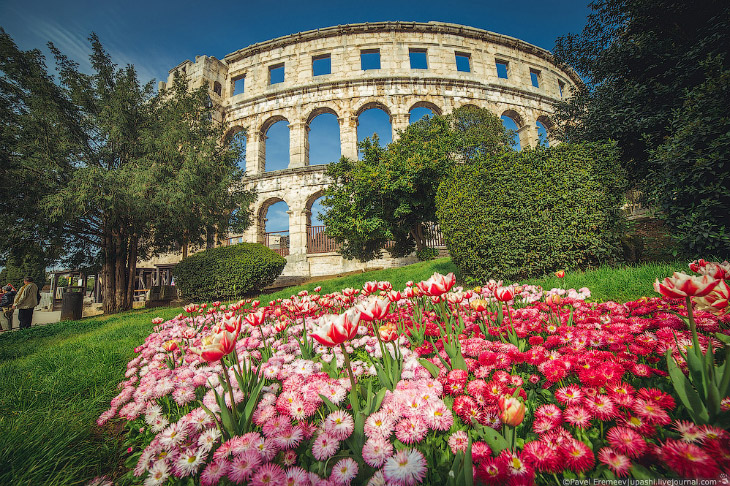 Древний амфитеатр в Хорватии Древний амфитеатр в Хорватии