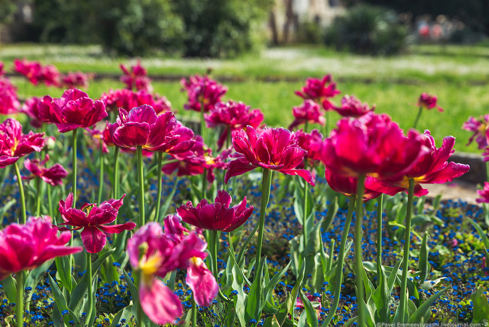 Древний амфитеатр в Хорватии Древний амфитеатр в Хорватии