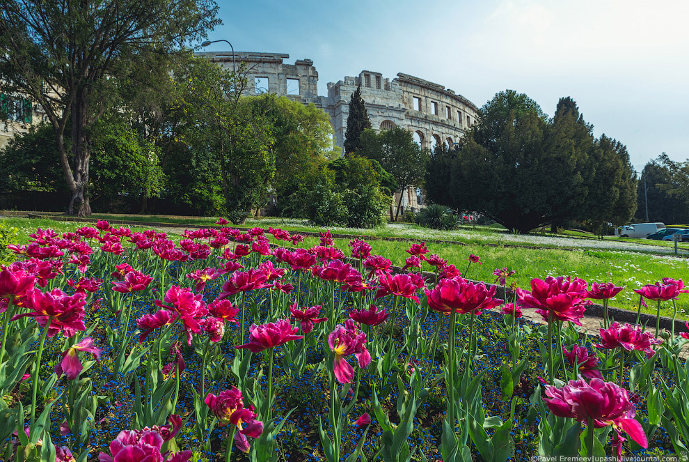 Древний амфитеатр в Хорватии Древний амфитеатр в Хорватии