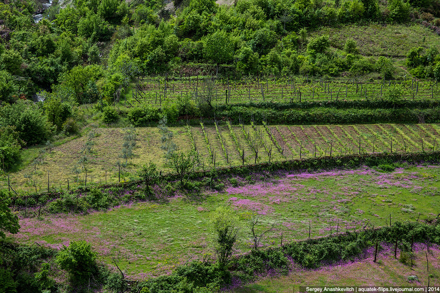 Албанская глухомань
