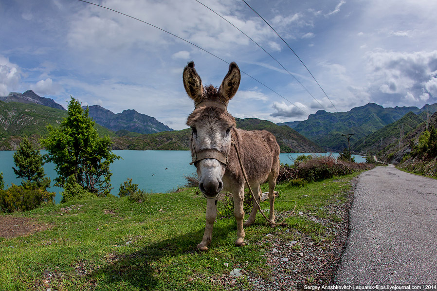 Албанская глухомань