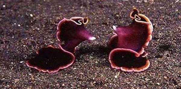 Факты, которые доказывают, что природу нужно стрегаться