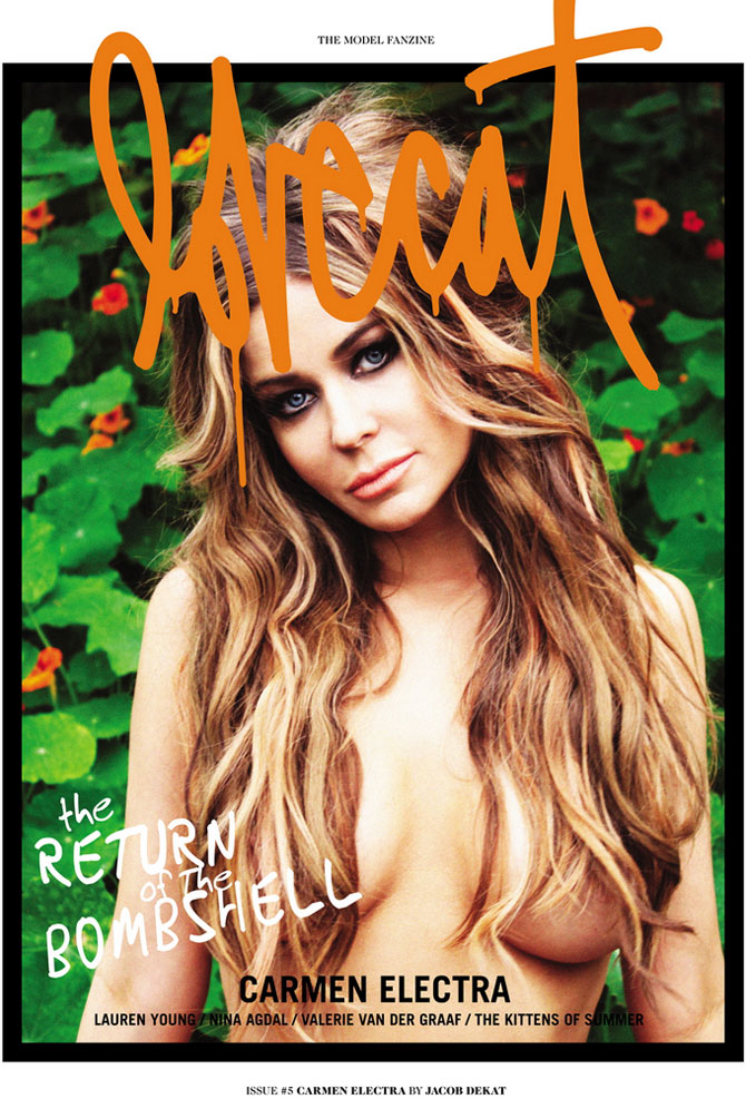 Памела Андерсон и Кармен Электра в журнале Lovecat (11 фото)