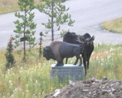 5 странных историй о хулиганских выходках животных (10 фото + текст)