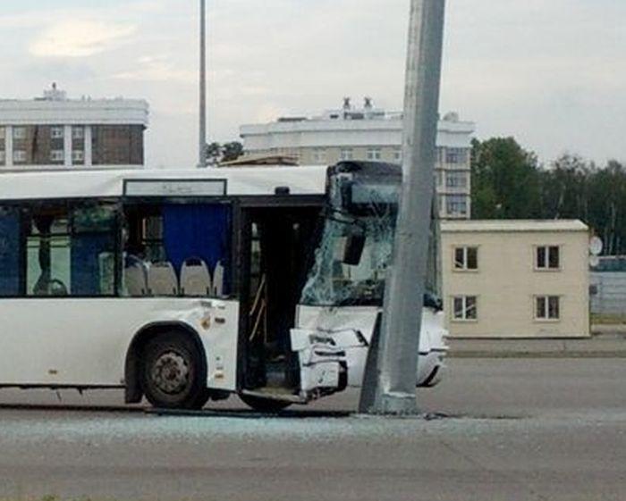 Они нашли друг друга - 2 (3 фото)