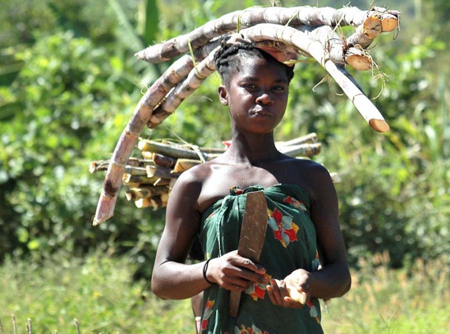 10 фактов о сексе (10 фото)