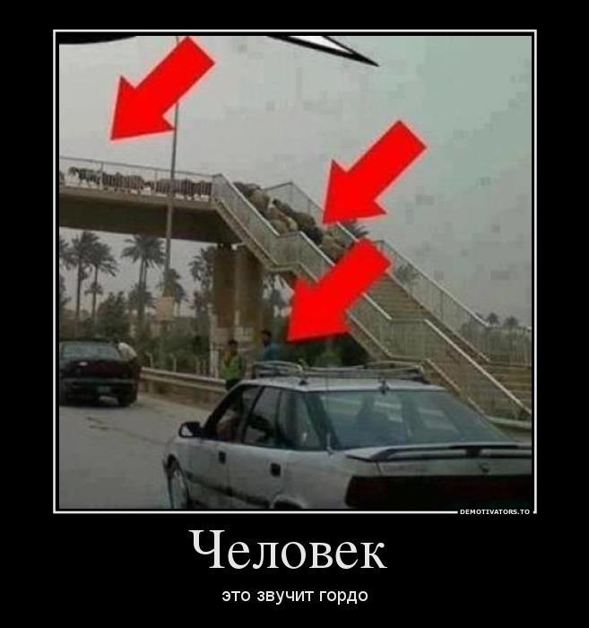 Демотиваторы (33 фото)