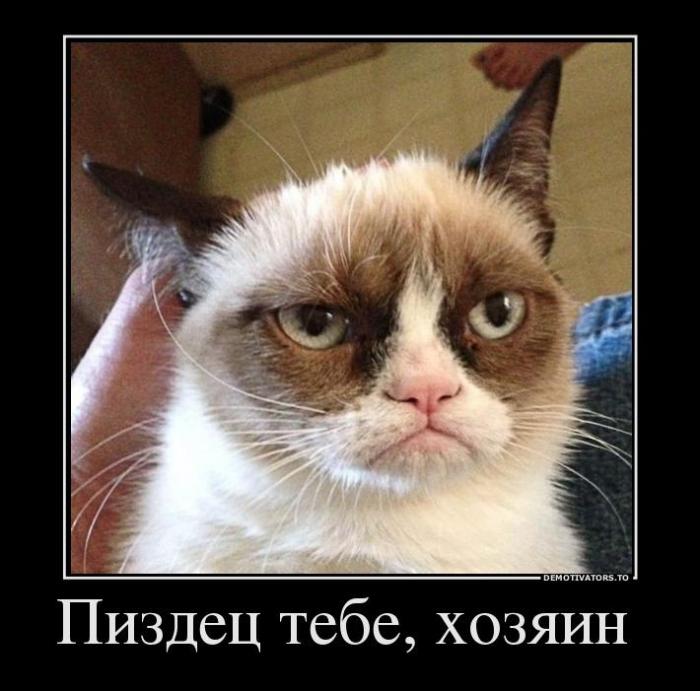 Демотиваторы (33 фото)
