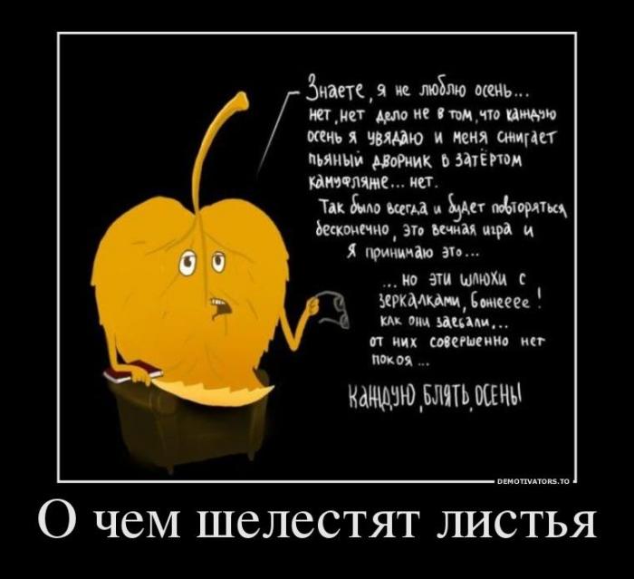 Демотиваторы (33 фото)