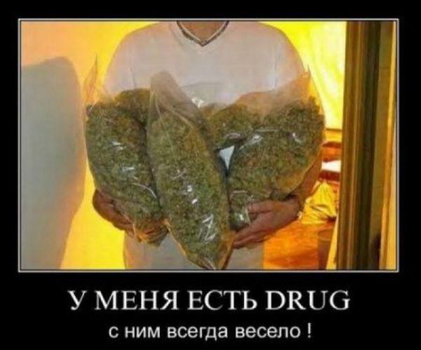 Демотиваторы (33 фото)