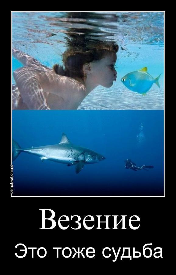 Демотиваторы (33 фото)