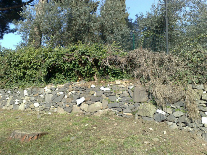 Разминка для мозга: 16 небольших задачек на внимательность и логику