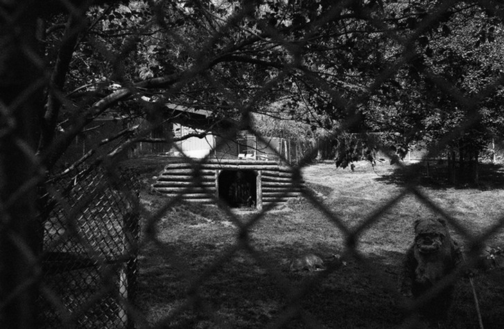 «Звездные войны» в реальной жизни «Звездные войны» в реальной жизни