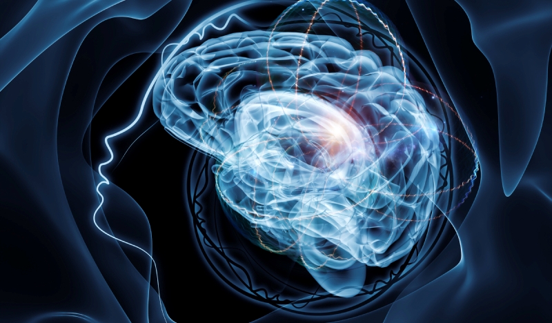 Что такое оргазм мозга? Что такое оргазм мозга?