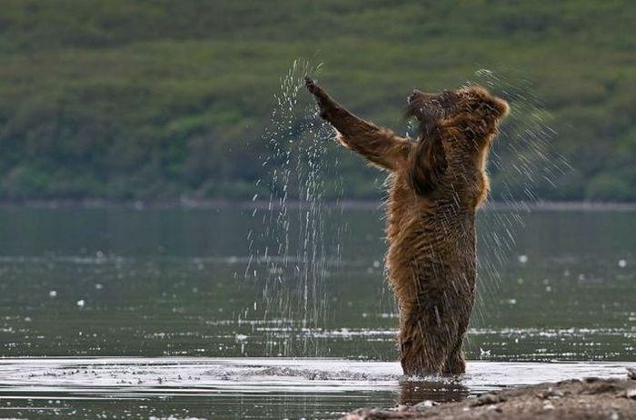 Прикольные картинки