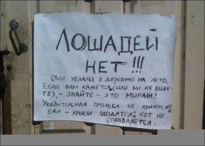 Прикольные картинки
