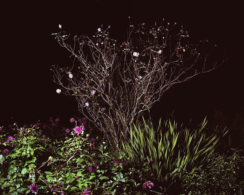 Сельская дискотека… по-испански