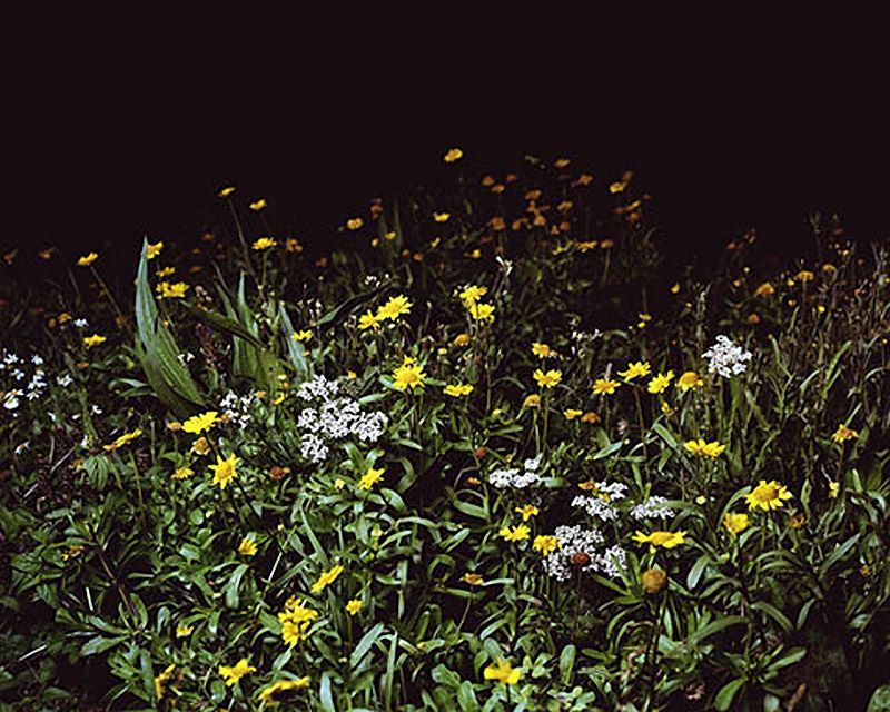 Сельская дискотека… по-испански