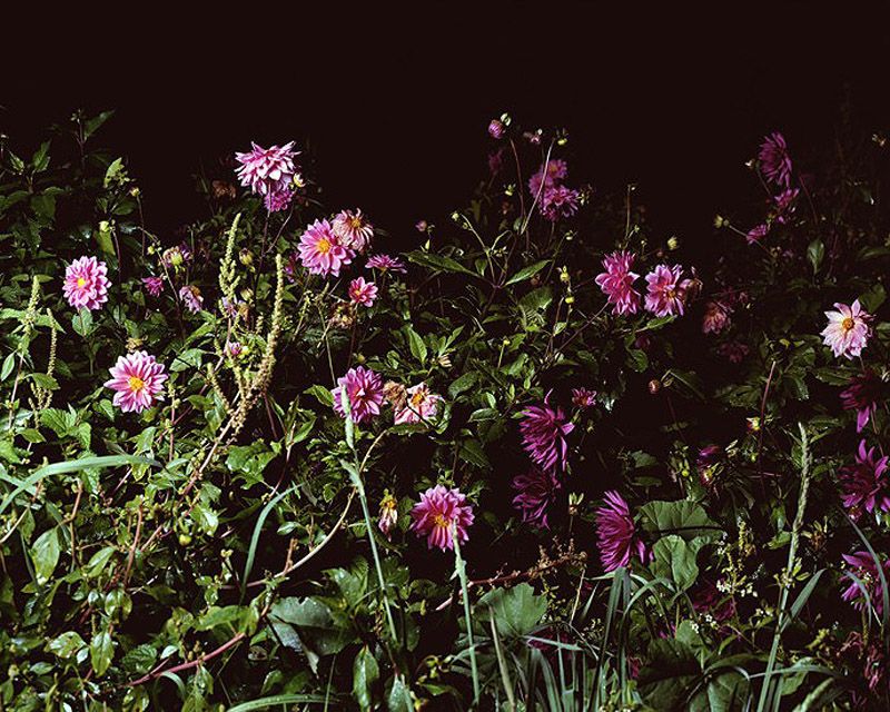 Сельская дискотека… по-испански