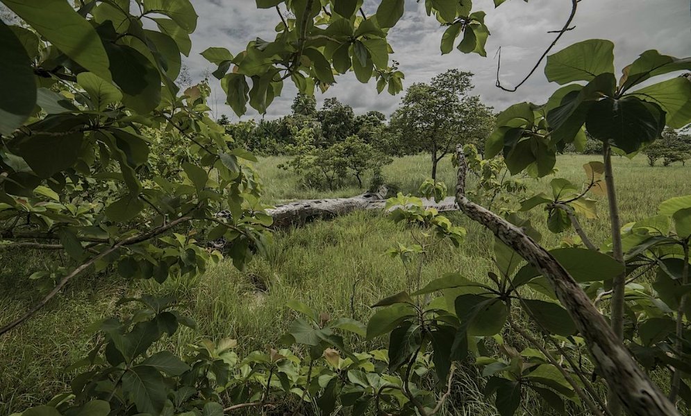 Крушения самолётов, закончившиеся хэппи-эндом