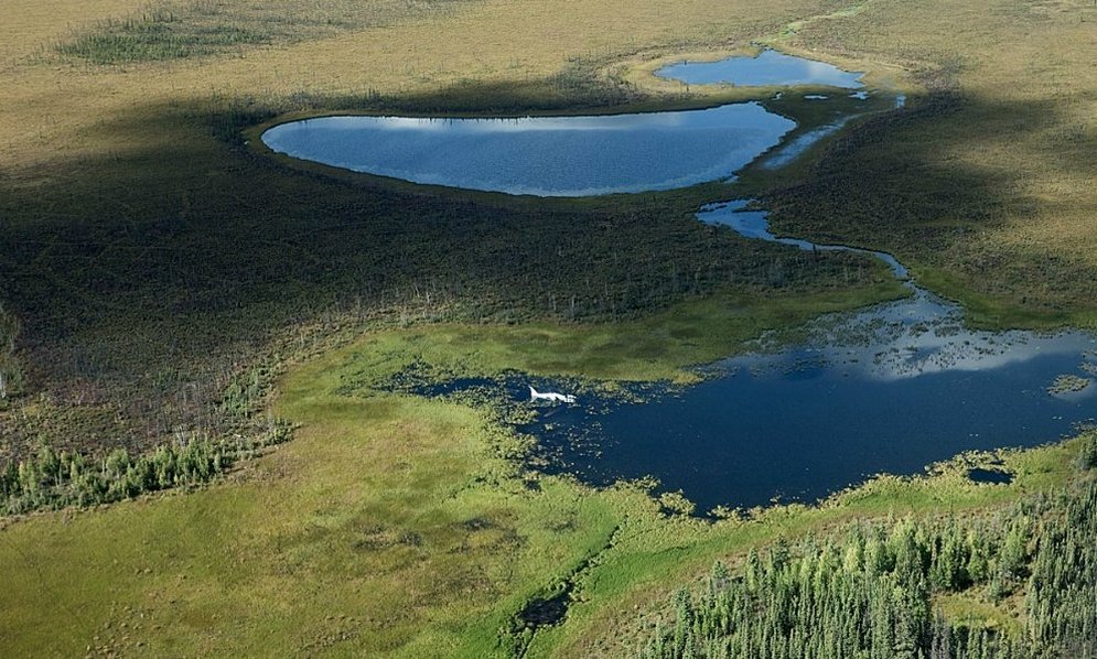 Крушения самолётов, закончившиеся хэппи-эндом