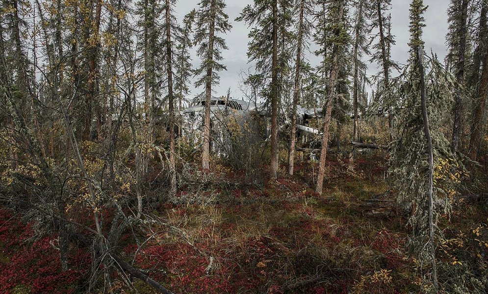 Крушения самолётов, закончившиеся хэппи-эндом