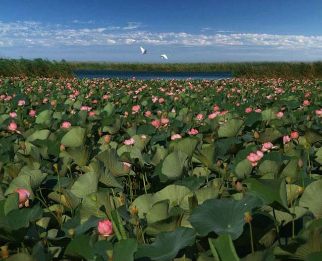 Интересные факты о России