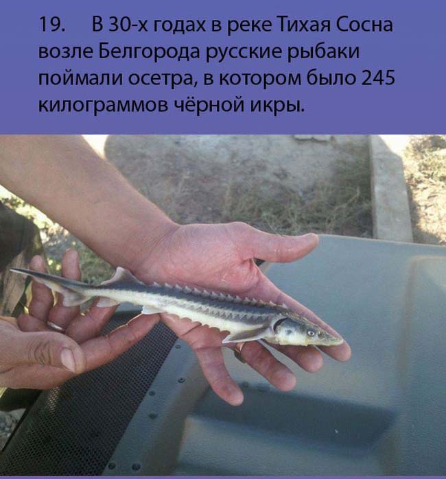 Интересные факты о России