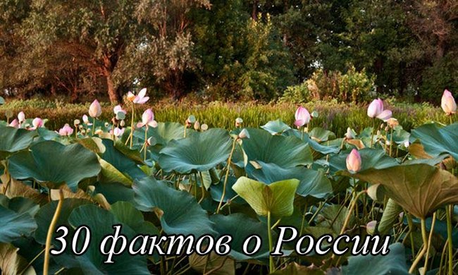 Интересные факты о России
