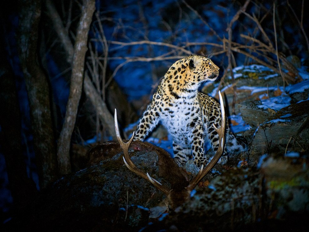 National Geographic: лучшие фотографии декабря