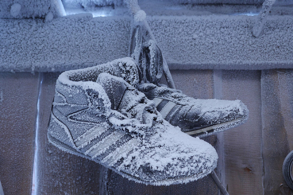 Там, где живет зима