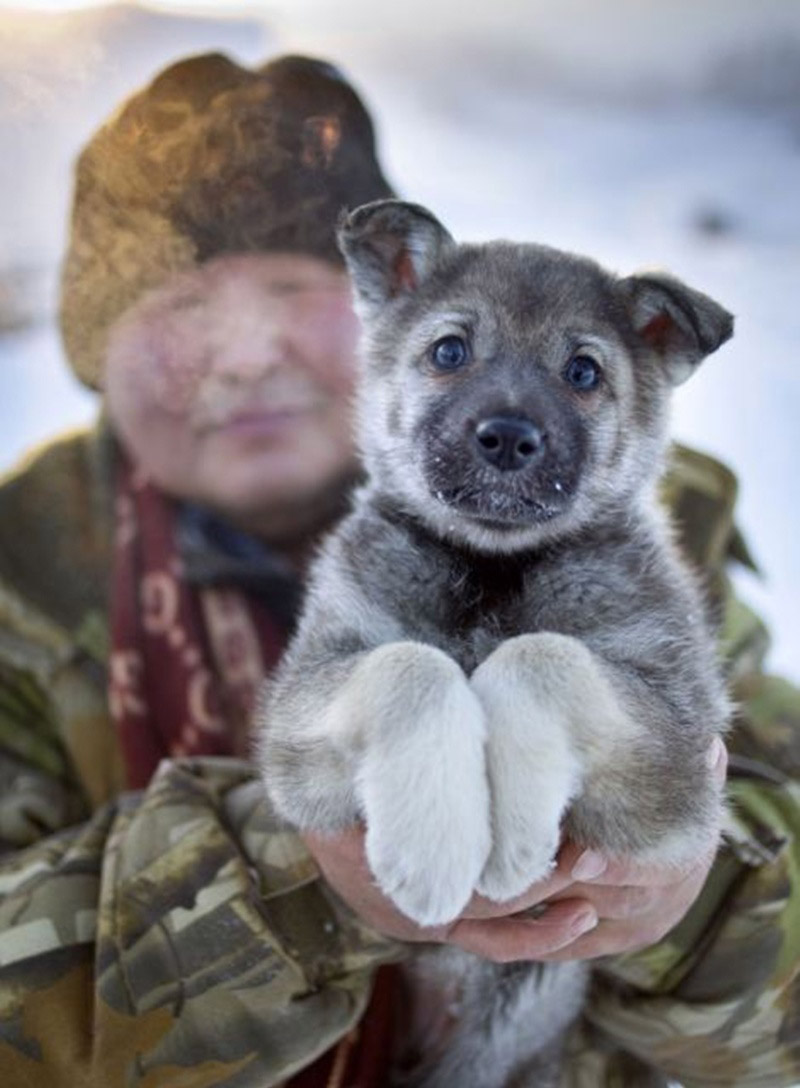 Там, где живет зима