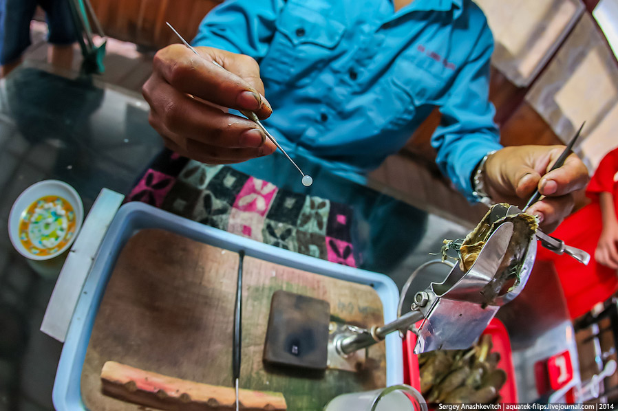 Производство жемчуга