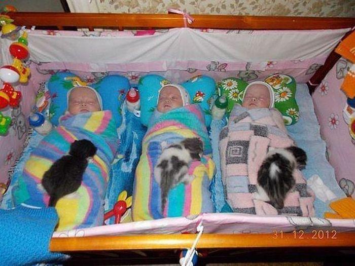 Прикольные картинки