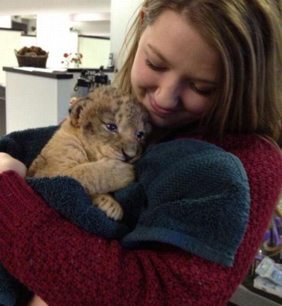 Прикольные картинки