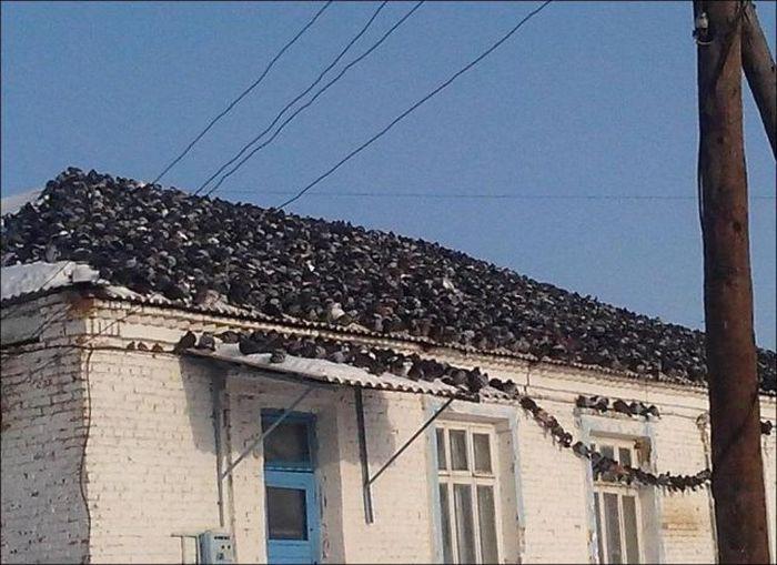 Прикольные картинки