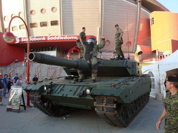 Прикольные картинки