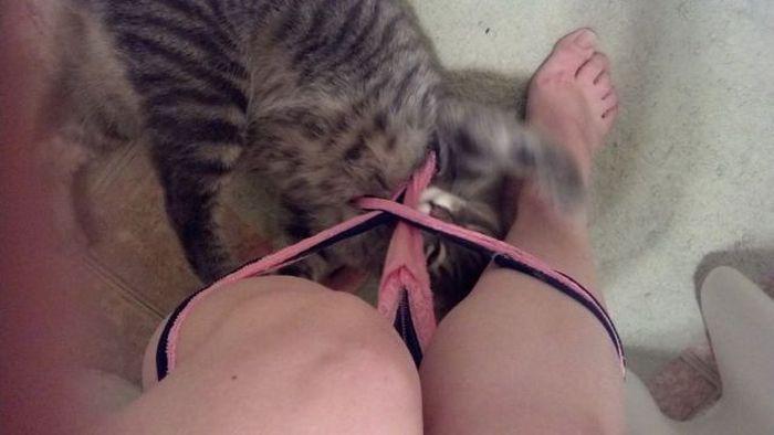 Прикольные картинки