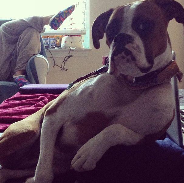 Прикольные картинки