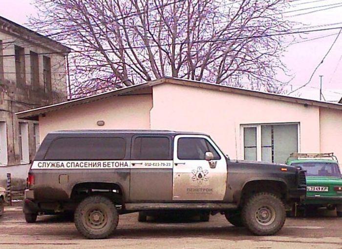 Прикольные картинки