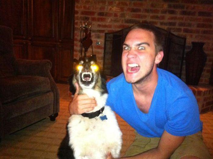 Прикольные картинки