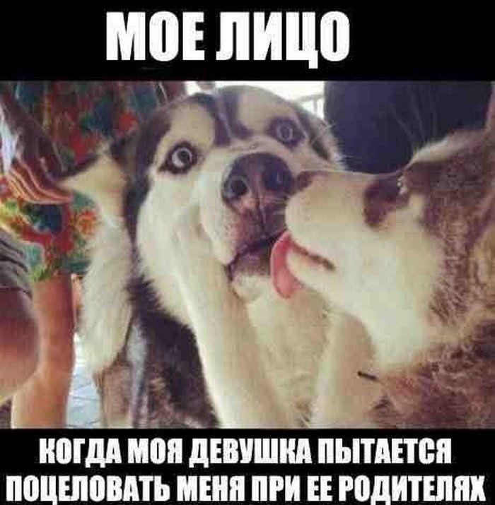 Прикольные картинки