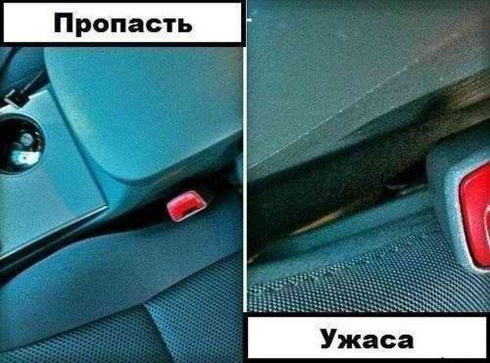 Прикольные картинки