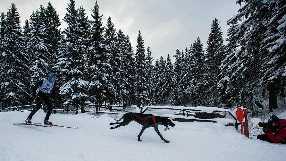 Гонка на собачьих упряжках «По земле Сампо»