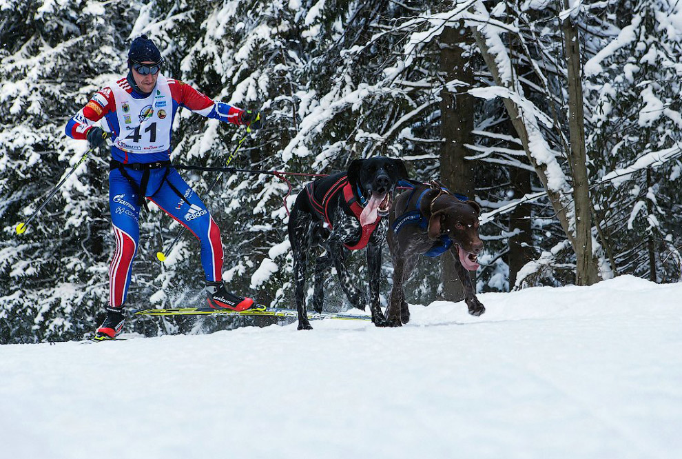 Гонка на собачьих упряжках «По земле Сампо»
