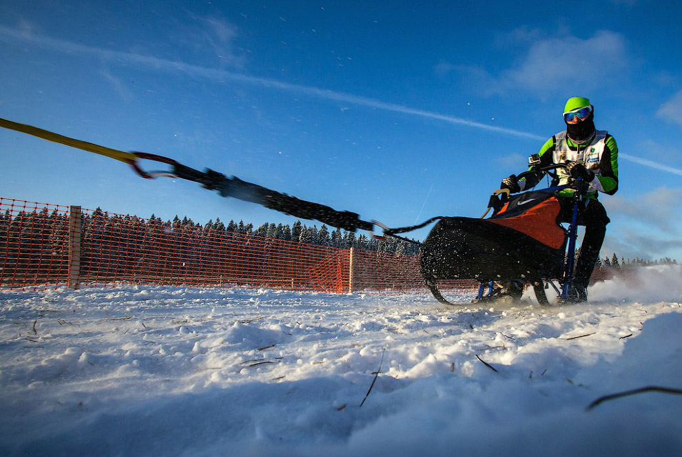 Гонка на собачьих упряжках «По земле Сампо»