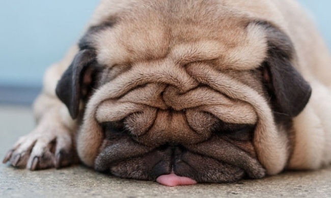 14 причин, почему вы всегда уставший 14 причин, почему вы всегда уставший