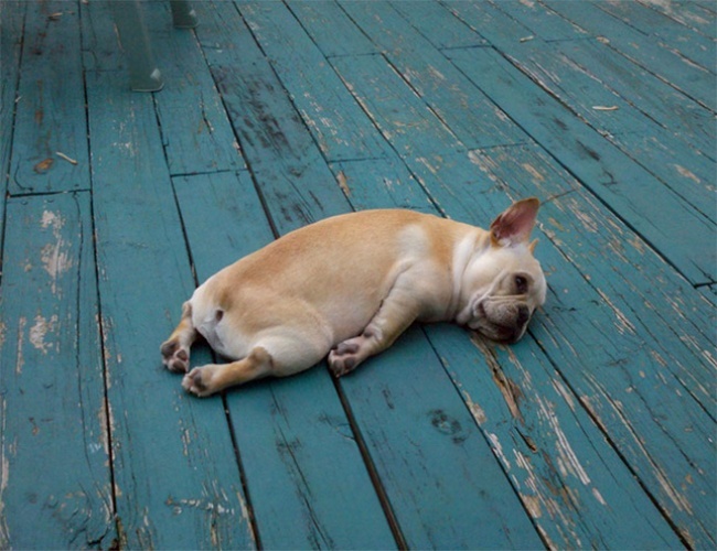 14 причин, почему вы всегда уставший 14 причин, почему вы всегда уставший