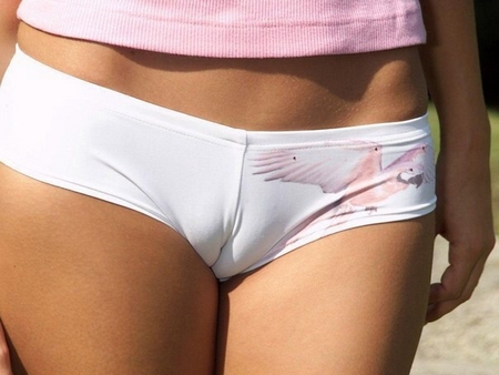 Верблюжьи лапки